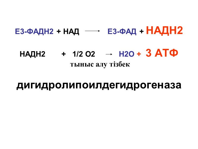 Е3-ФАДН2 + НАД           